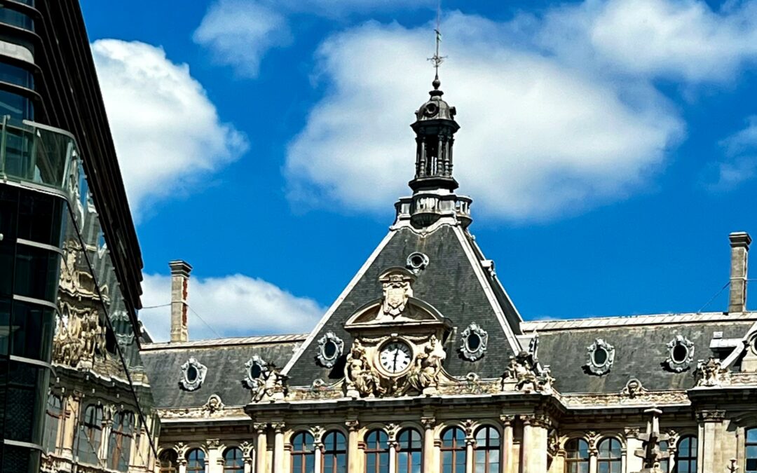 Du discernement de l’agent immobilier dans la vérification des droits de son mandant