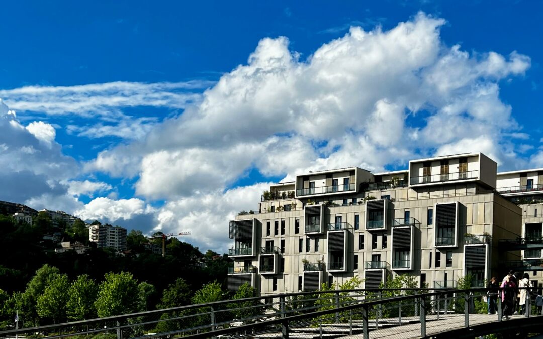 Erreur dans le prix de vente et responsabilité conjointe de l’agent immobilier et du notaire