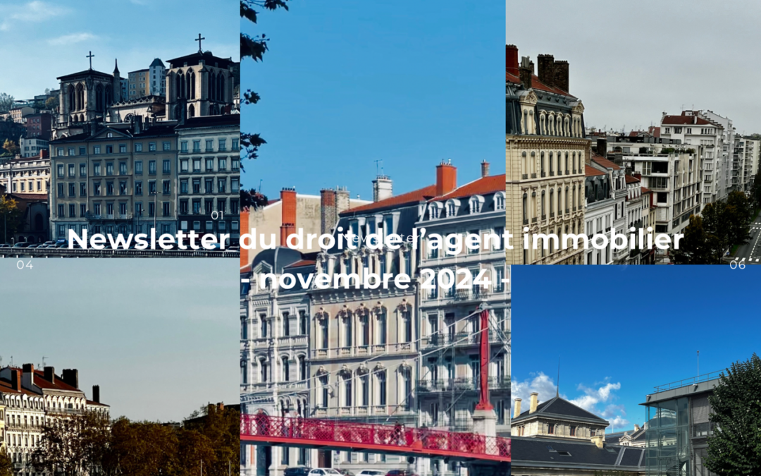 Newsletter du droit de l’agent immobilier – novembre 2024
