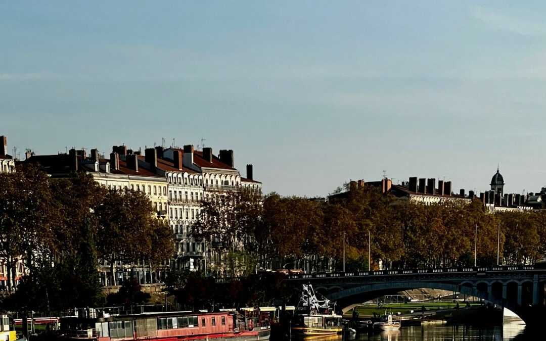 De la garantie des vices cachés lorsque le vendeur est agent immobilier