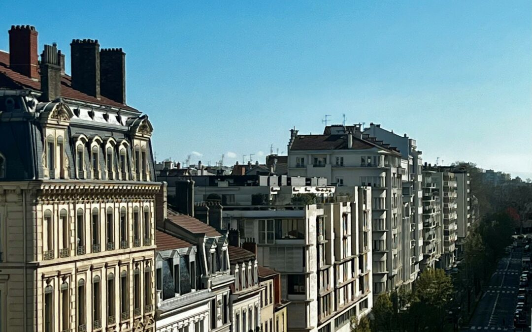 Cumul des fonctions, cumul des obligations : le sort de l’agent-syndic