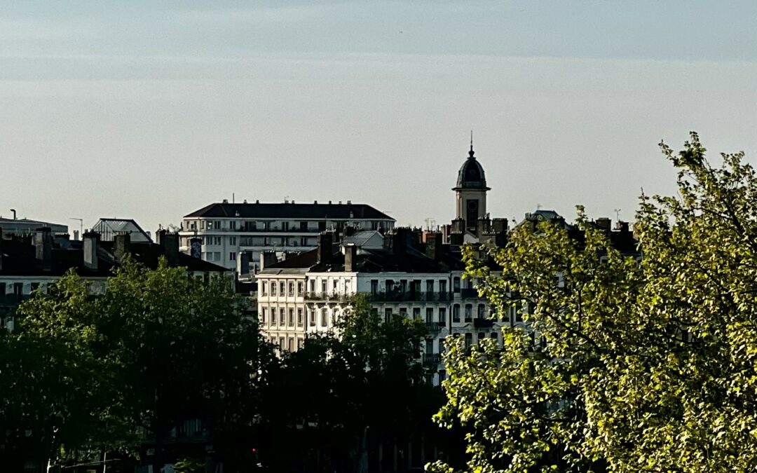 Des incidences de la loi Hoguet sur la structuration des réseaux d’agences immobilières