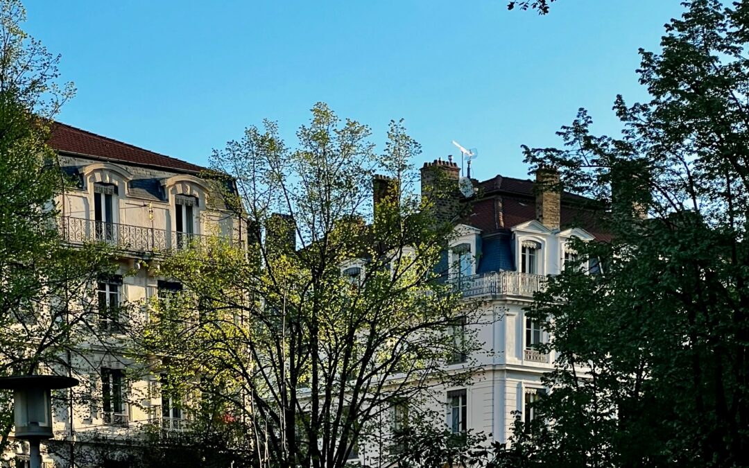Moyen ou résultat ? De la nature de l’obligation de l’agent immobilier en cas d’échec du dispositif fiscal